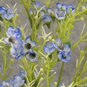 WAX FLOWER BUSH X9 18